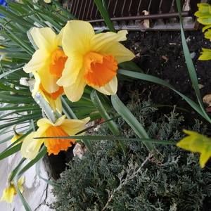 Meet your Posher, Dilek